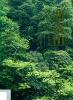 恋春山 封面