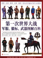 第一次世界大战军服、徽标、武器图解百科 封面