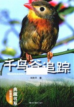 千鸟谷追踪 封面