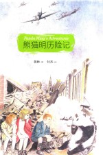 熊猫明历险记 封面