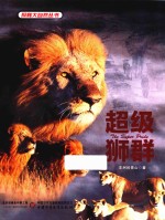 超级狮群 封面