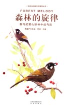 森林的旋律 封面