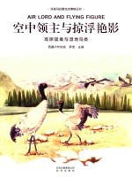 空中领主与掠浮艳影 封面