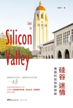 硅谷迷情 封面