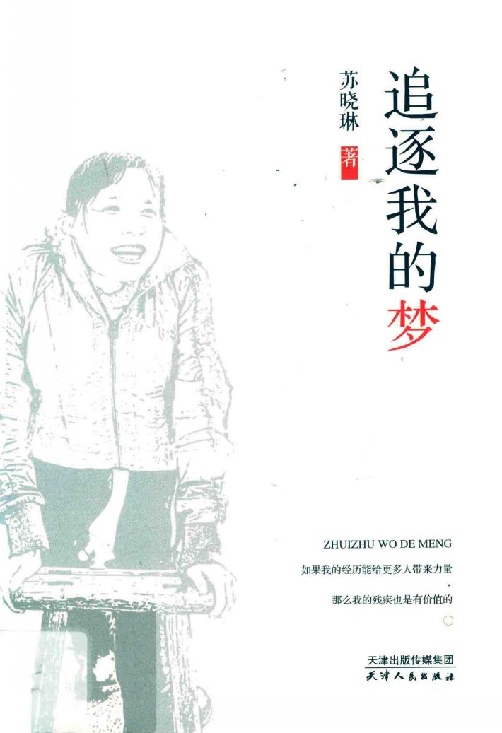 追逐我的梦 封面