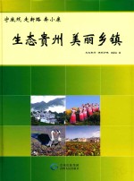 生态贵州  美丽乡镇 封面