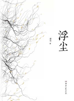 浮尘 封面