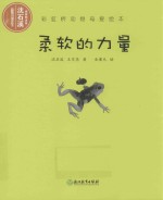 柔软的力量 封面