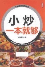 小炒一本就够 封面