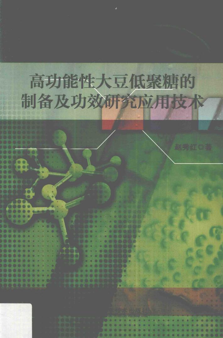 高功能性大豆低聚糖的制备及功效研究应用技术 封面