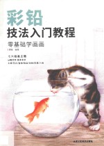 彩铅技法入门教程 封面