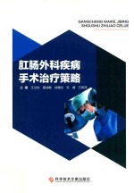 肛肠外科疾病手术治疗策略 封面