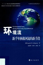 环境流 封面