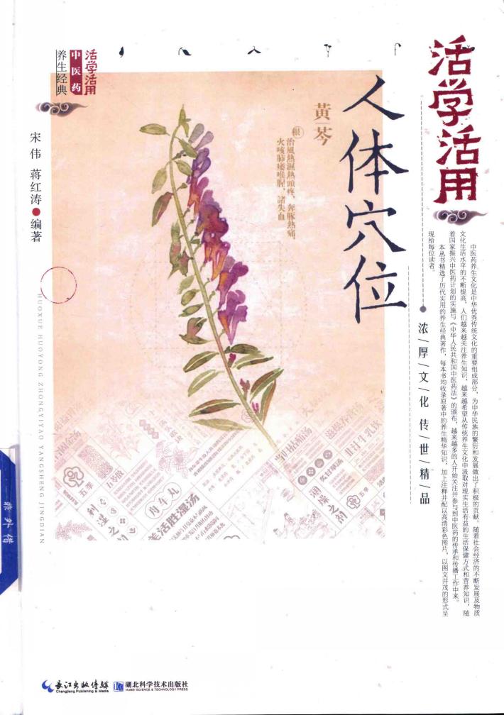 活学活用人体穴位 封面