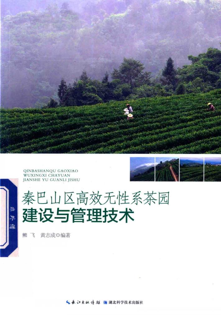 秦巴山区高效无性系茶园建设与管理技术