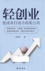 轻创业  低成本打造小而美公司 封面