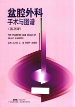 盆腔外科手术与图谱  普及版 封面