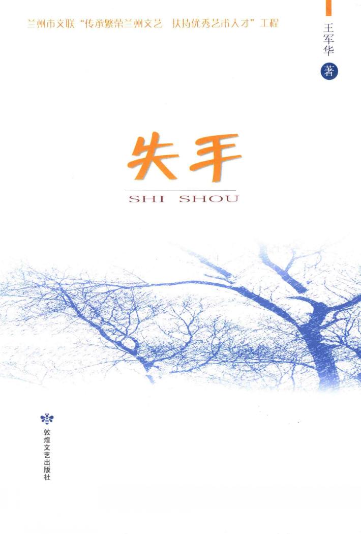 失手 封面