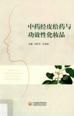 中药及功效性化妆品经皮给药技术 封面