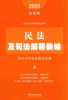 法及司法解释新编系列  民法及司法解释新编  含请示答复及指导案例  2019最新版 封面