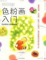 色粉画入门  色粉画技法经典教程 封面