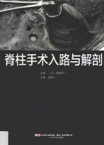 脊柱手术入路与解剖 封面