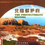 北庭都护府 封面