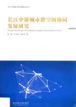 长江中游城市群空间协同发展研究 封面