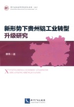 新形势下贵州铝工业转型升级研究 封面
