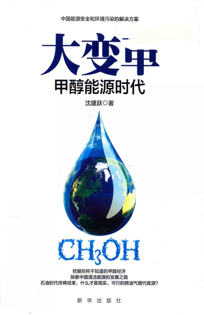 大变革  甲醇能源时代 封面