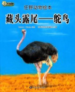 狂野动物绘本  藏头露尾  鸵鸟  精装绘本 封面