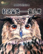 狂野动物绘本  轻迅猛绝  猫头鹰  精装绘本 封面