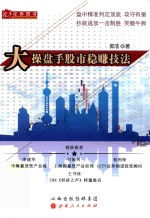 大操盘手股市稳赚技法 封面