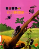 小小歌唱家  蝉 封面
