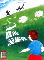 真的没骗你 封面