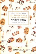 少年维特的烦恼 封面