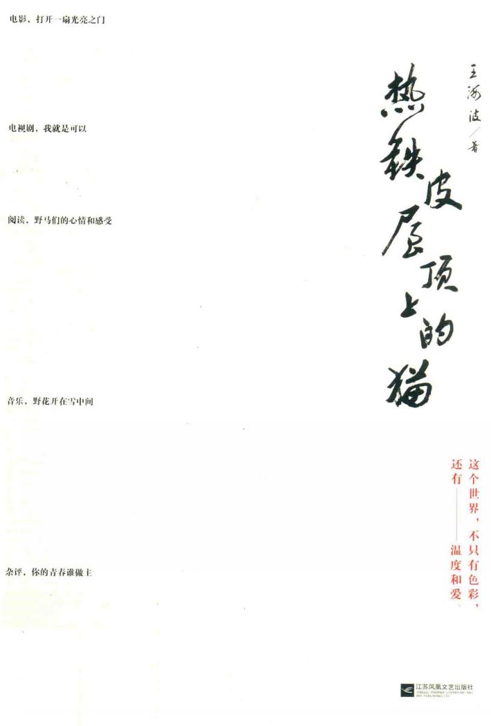 热铁皮屋顶上的猫 封面