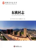 东桃村志 封面