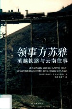 领事方苏雅 封面