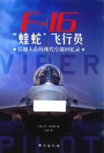 “蝰蛇”飞行员  震撼人心的现代空战回忆录 封面