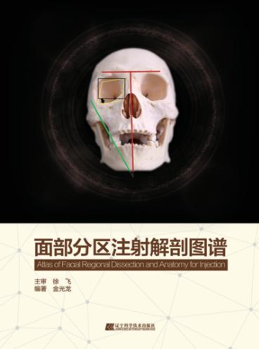面部分区注射解剖图谱 封面