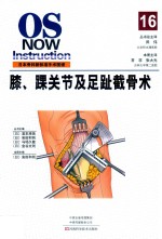 膝、踝关节及足趾截骨术 封面