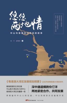 悠悠两地情 封面