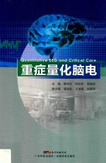 重症量化脑电 封面