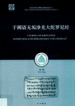 于阗语无垢净光大陀罗尼经 封面