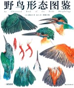 野鸟形态图鉴 封面