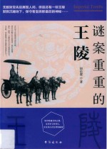 谜案重重的王陵 封面