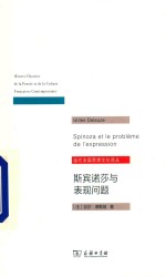 斯宾诺莎与表现问题 封面
