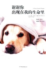 谢谢你出现在我的生命里 封面