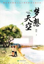 梦想天空 封面